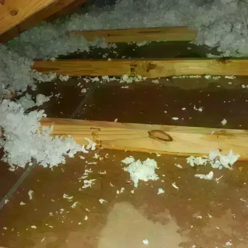 Attic Water Damage in Buellton, CA