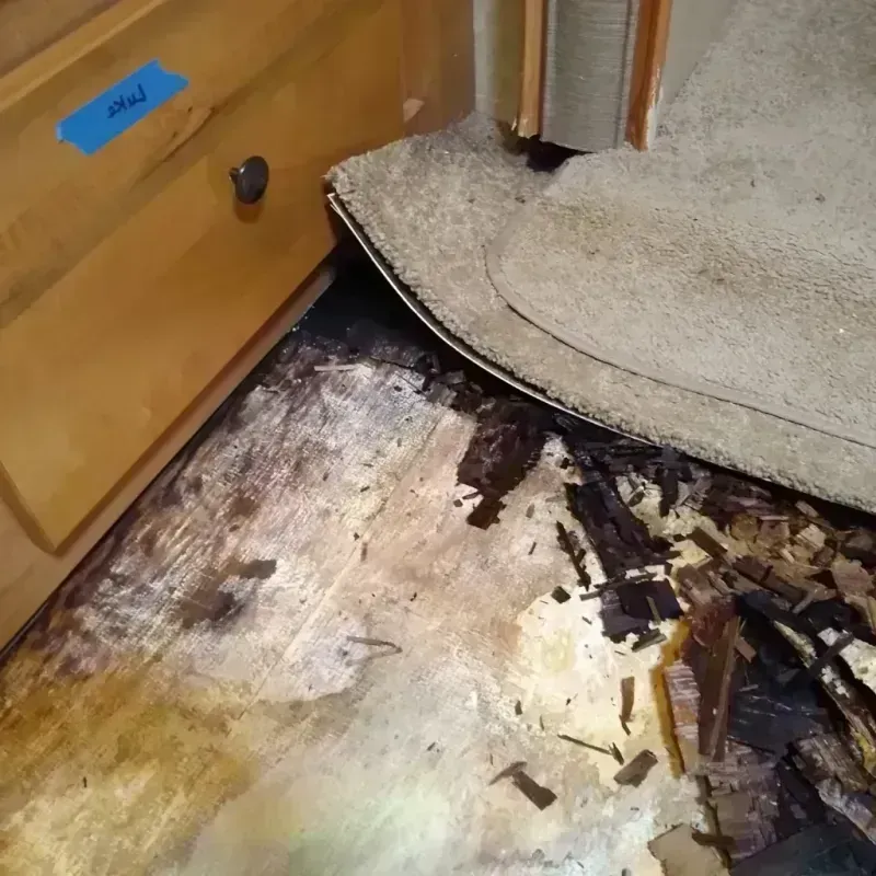 Best Wood Floor Water Damage Service in Buellton, CA